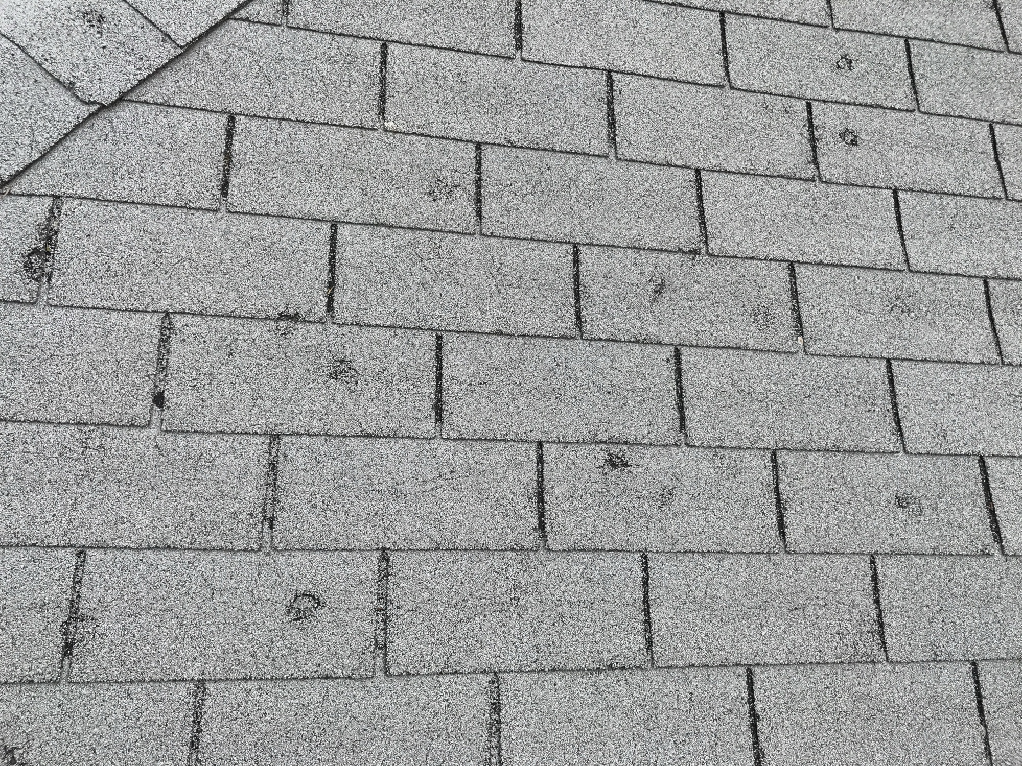Hail damage in Denver 2017