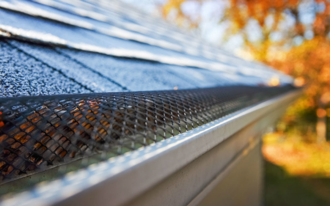 Read more about the article Do Gutter Leaf Guards Really Work?