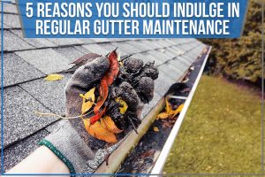 Read more about the article 5 Reasons You Should Indulge In Regular Gutter Maintenance